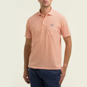 B.Draddy Vin Polo