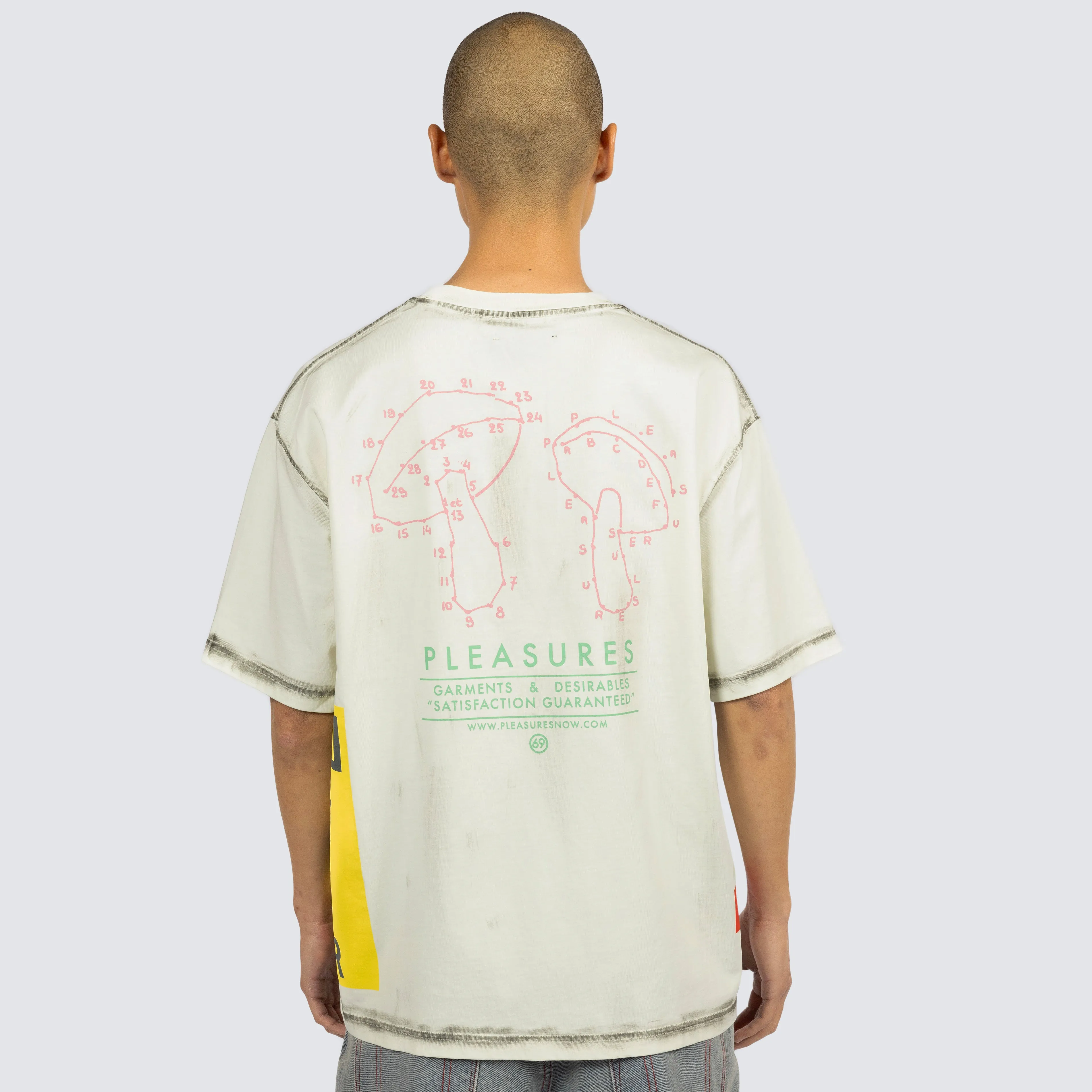 Pleasures Evolution Heavyweight SS Tee