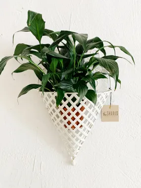 White Metal Wall Sconce Basket